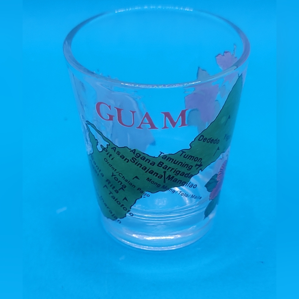 Guam Shot Glass Hibiscus Dolphin